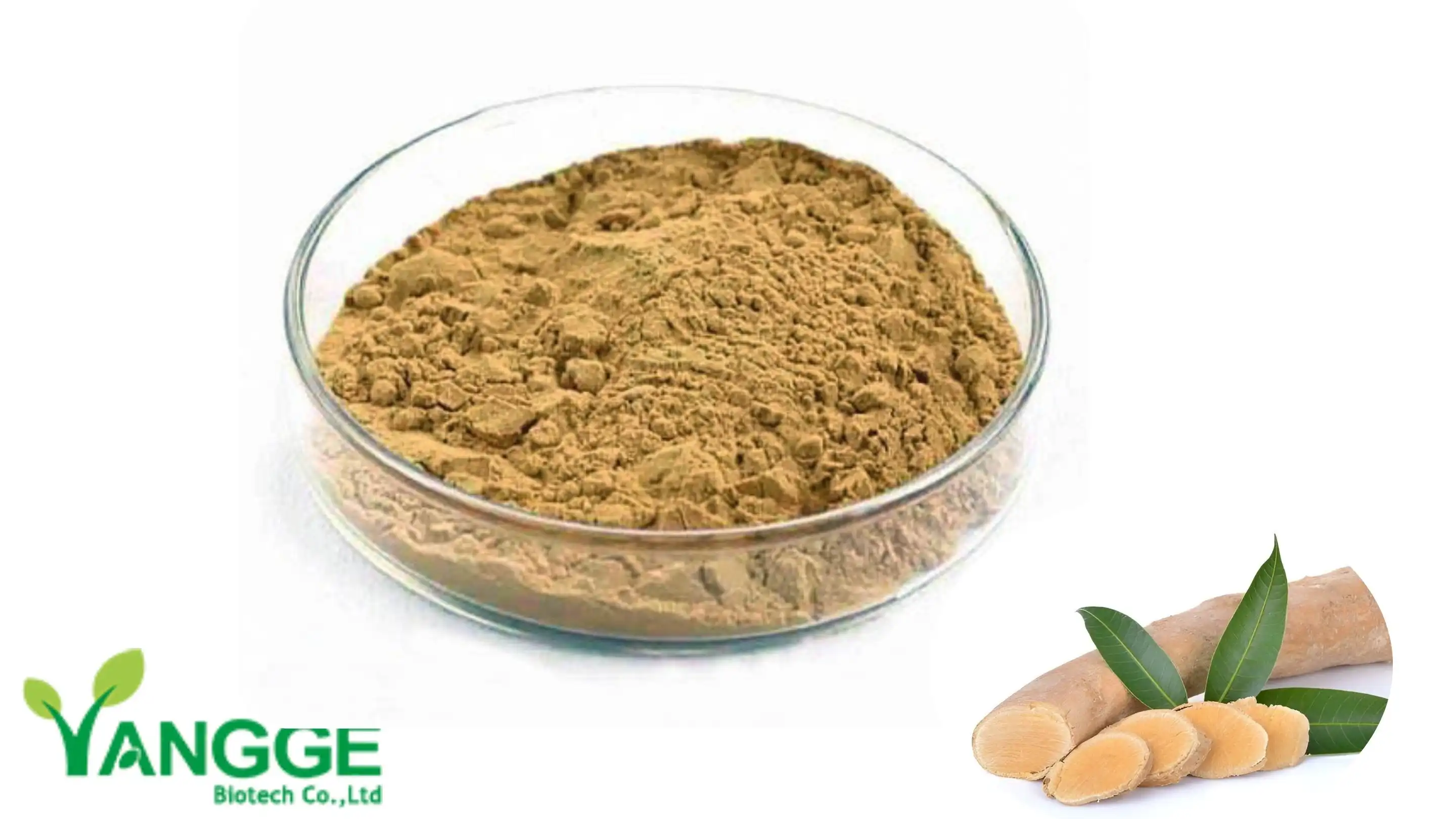 Tongkat ali extract powder Tongkat ali extract powder